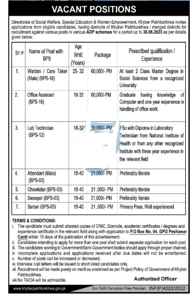 Social Welfare Department KPK Jobs 2024